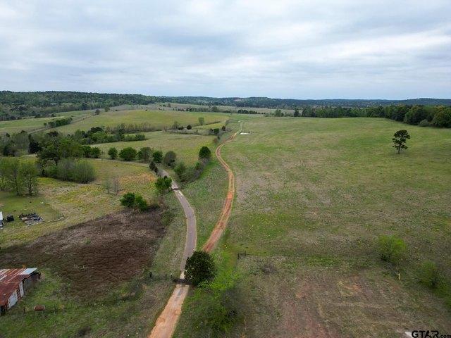 Land for sale in Diana, Texas