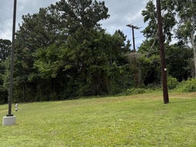Land for sale in Palestine, Texas
