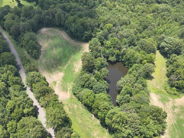 Land for sale in Bardwell, Kentucky