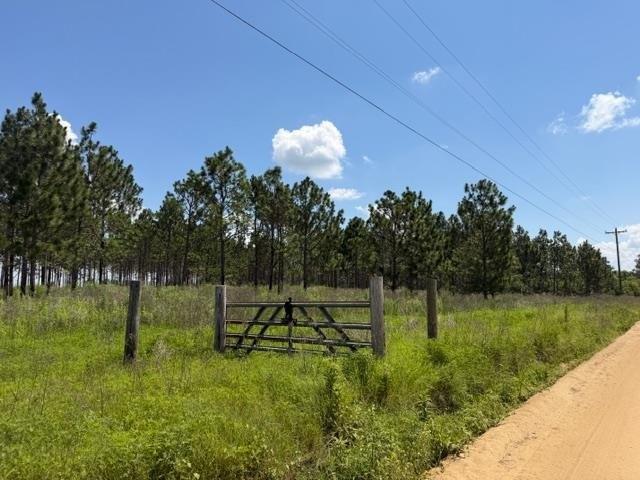 Land for sale in Turner, Georgia