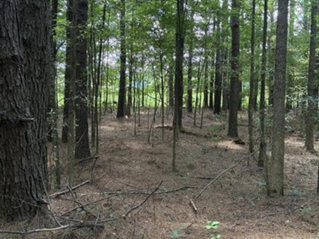 Land for sale in Choctaw, Mississippi