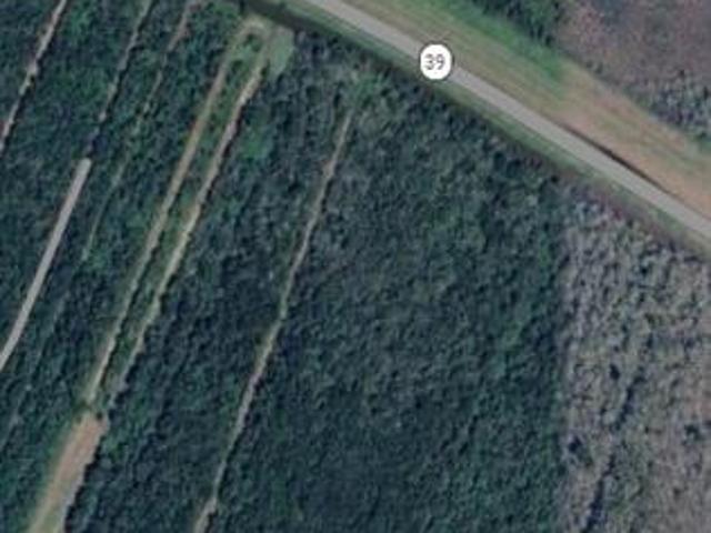 Land for sale in Braithwaite, Louisiana
