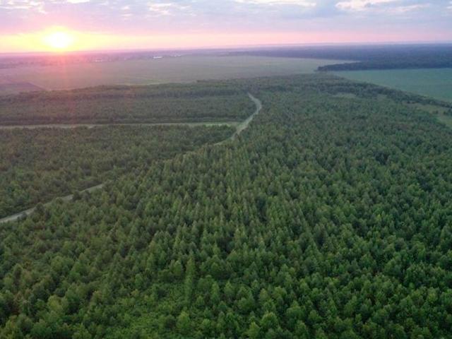 Land for sale in Vidalia, Louisiana