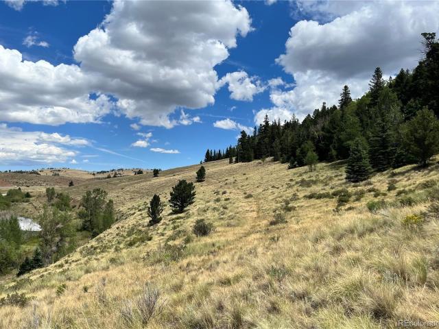 Land for sale in Fort Garland, Colorado