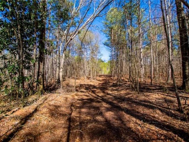 Land for sale in Bowdon, Georgia
