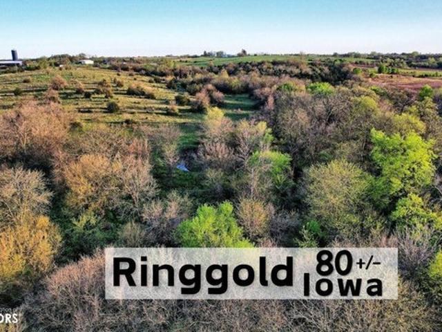 Farm for sale in Ringgold, Iowa