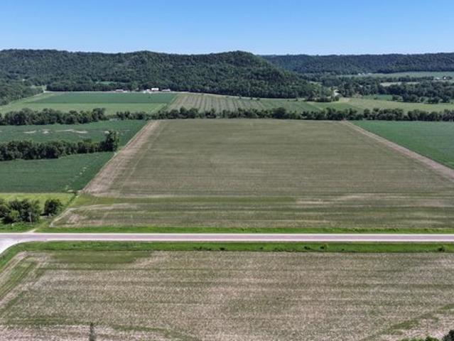 Land for sale in Houston, Minnesota