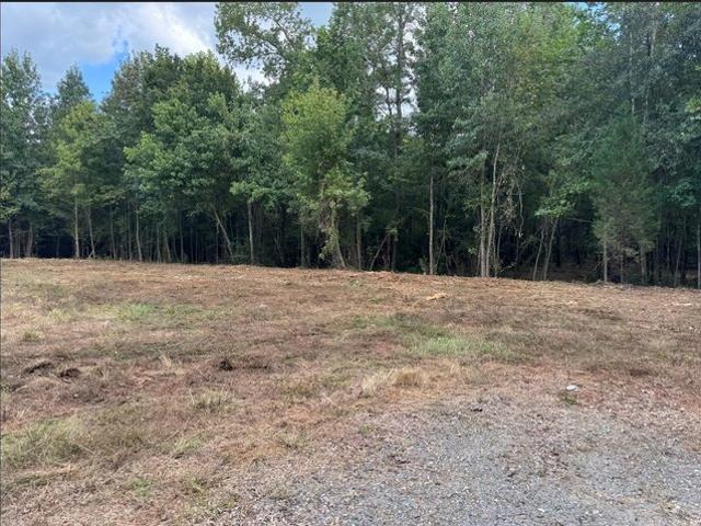 Land for sale in De Soto, Louisiana