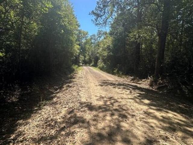 Land for sale in Noble, Sabine Parish