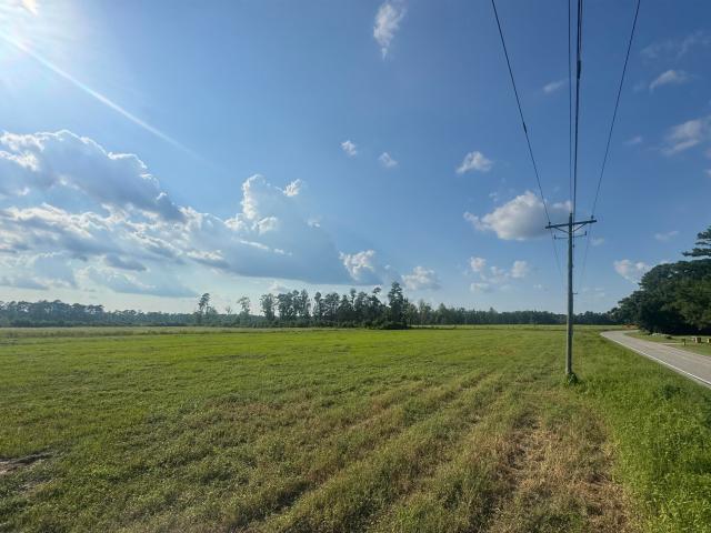Land for sale in Nichols, South Carolina