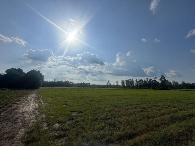 Land for sale in Nichols, South Carolina