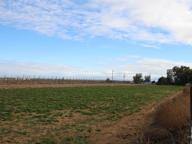 Land for sale in Wilder, Canyon County