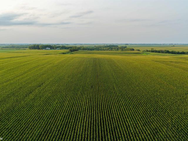 Farm for sale in Washington, Iowa