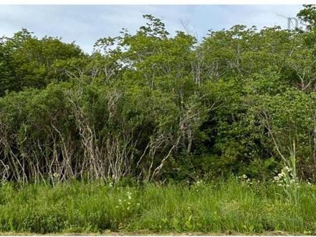 Land for sale in Clare, Nova Scotia