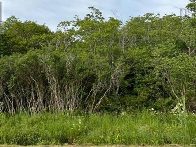 Land for sale in Clare, Nova Scotia