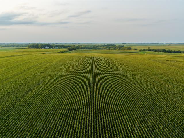 Land for sale in Washington, Iowa