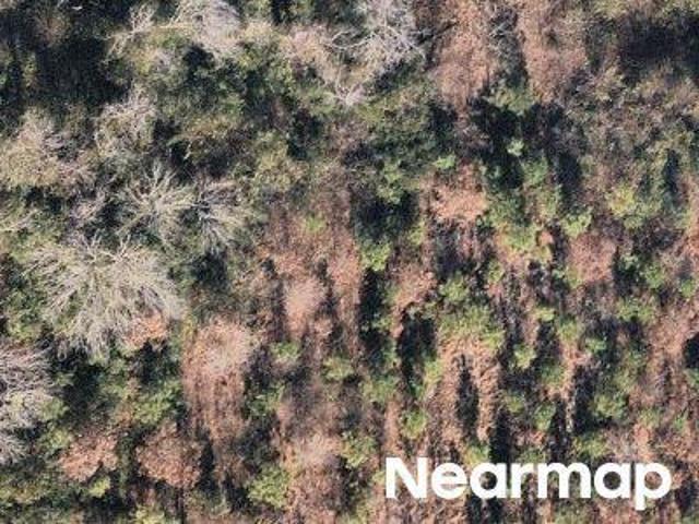 Property for sale in Cassatt, South Carolina