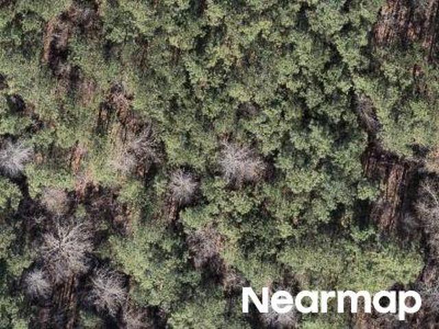 Property for sale in Calera, Shelby County