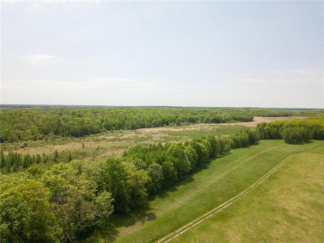 Land for sale in Todd, Minnesota