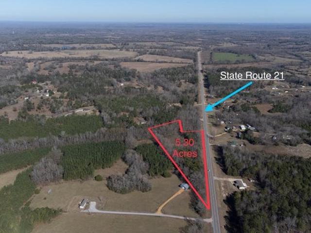 Land for sale in Hayneville, Alabama