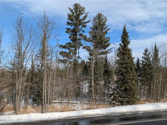 Land for sale in Cook, Minnesota