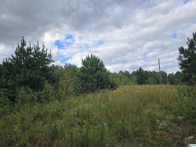 Land for sale in Coosa, Alabama