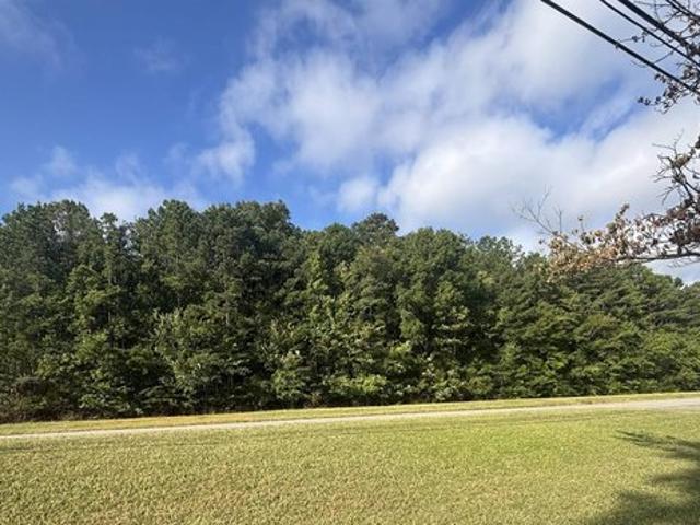 Land for sale in Oneonta, Blount County