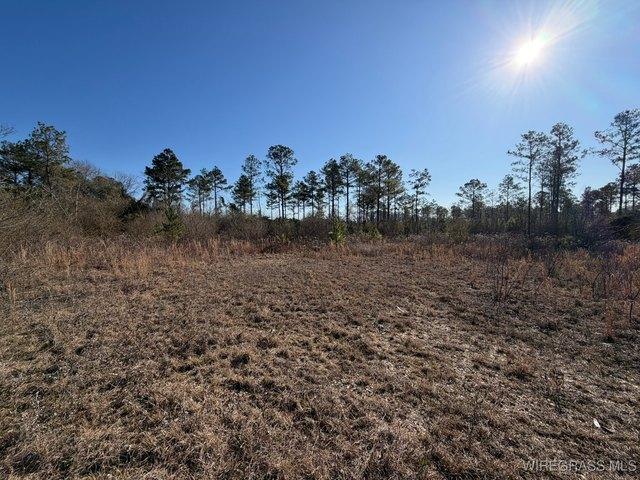 Land for sale in Troy, Alabama