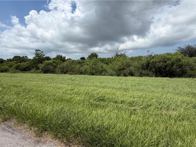 Land for sale in Buras, Louisiana
