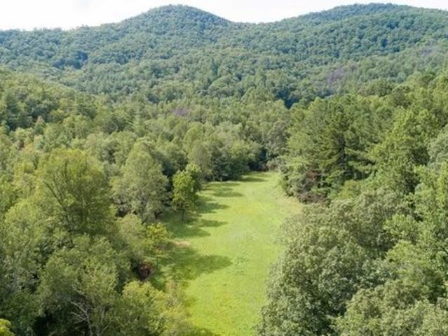 Land for sale in Dillard, Georgia