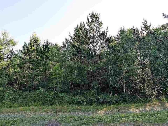 Land for sale in Orr, Minnesota