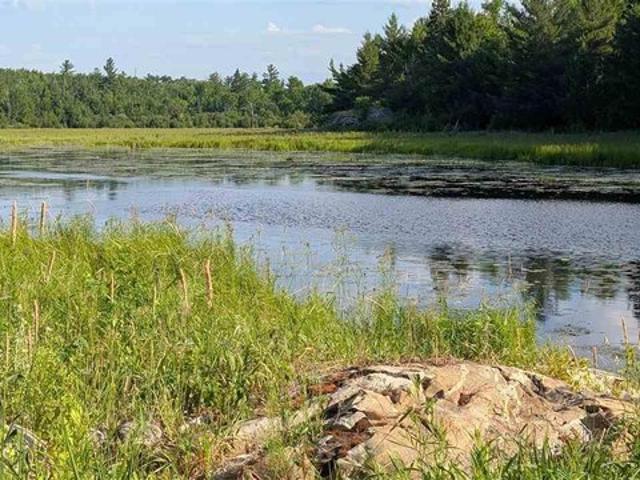 Land for sale in Orr, Minnesota