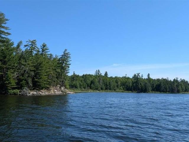 Land for sale in Orr, Minnesota