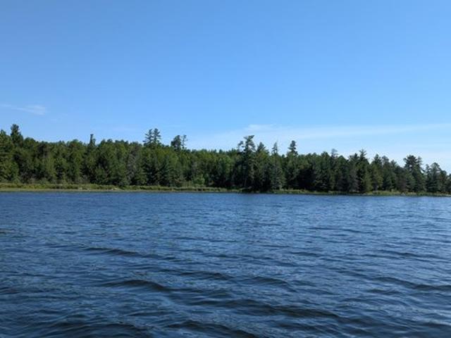 Land for sale in Orr, Minnesota