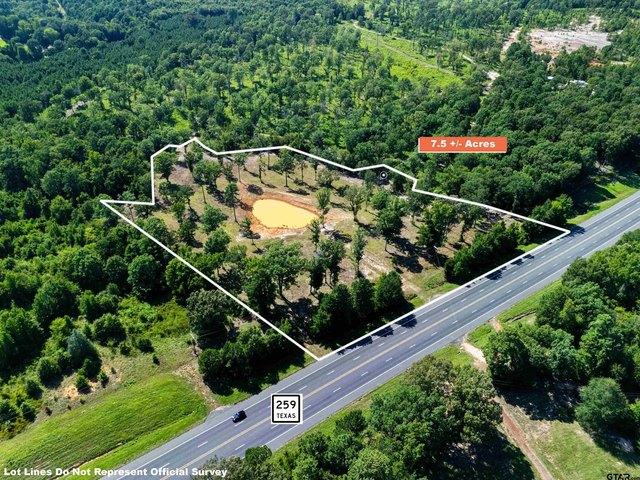 Land for sale in Diana, Texas