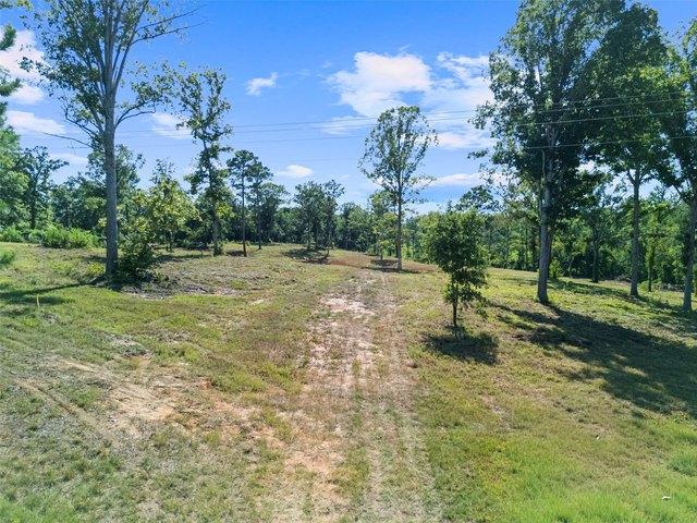 Land for sale in Diana, Texas