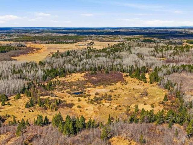 Land for sale in Angora, Minnesota
