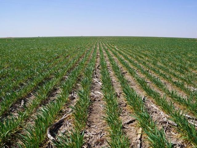 Land for sale in Nebraska