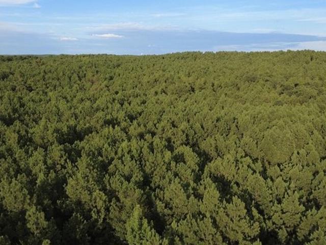 Land for sale in Columbiana, Alabama