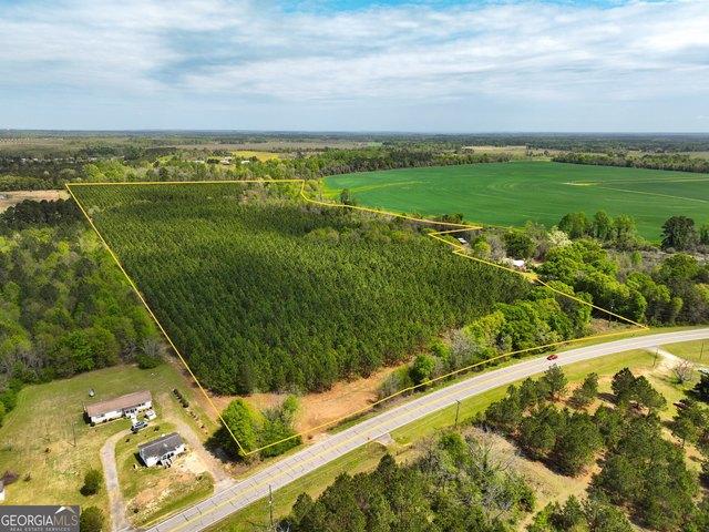 Land for sale in Hawkinsville, Georgia