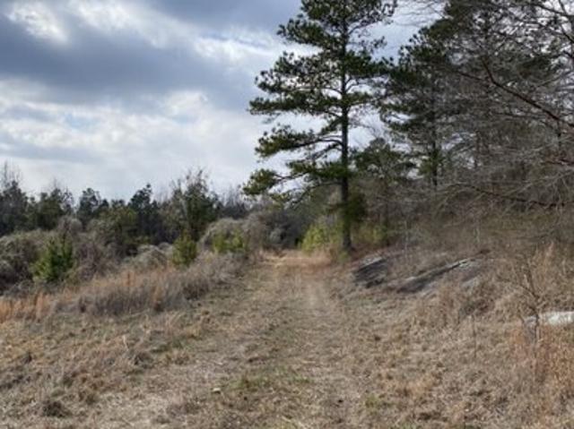 Land for sale in Ragland, Alabama