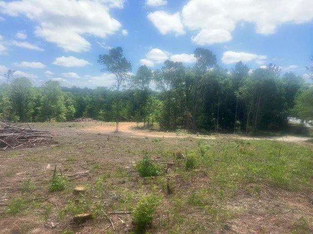 Farm for sale in Attapulgus, Georgia