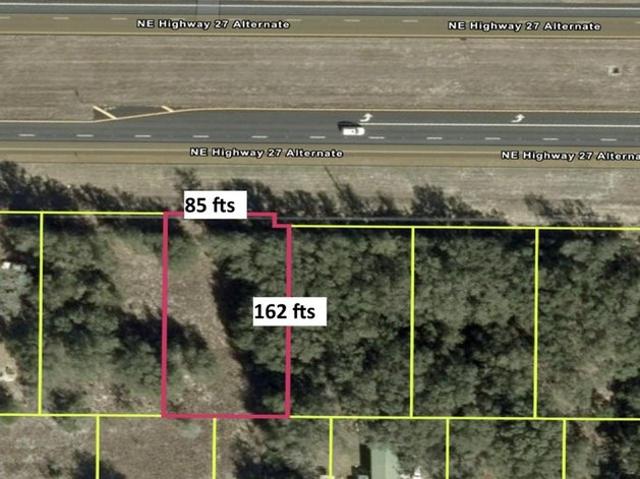 Land for sale in Williston, Levy County