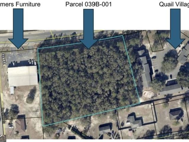 Land for sale in Reidsville, Georgia