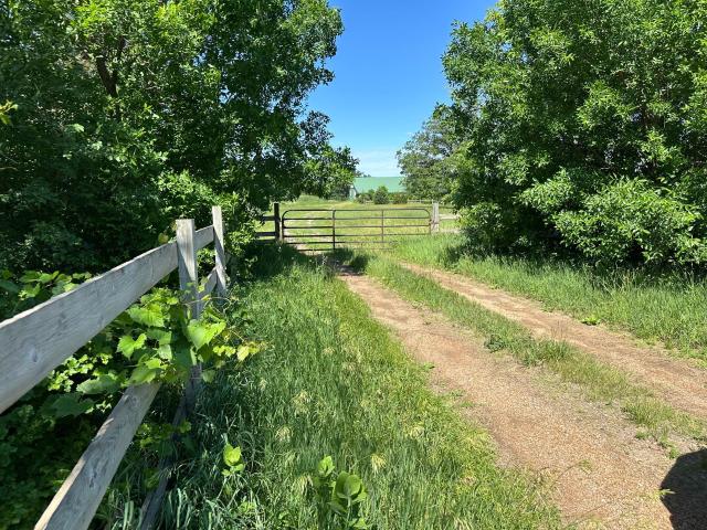 Land for sale in Minnesota