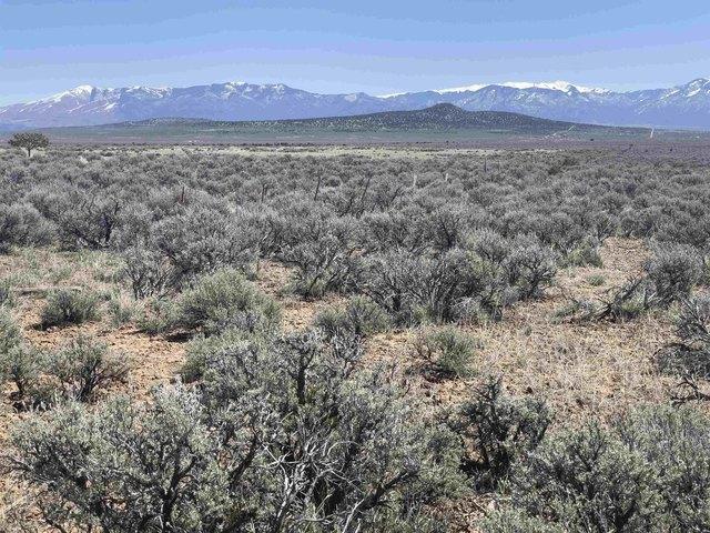 Land for sale in Tres Piedras, New Mexico