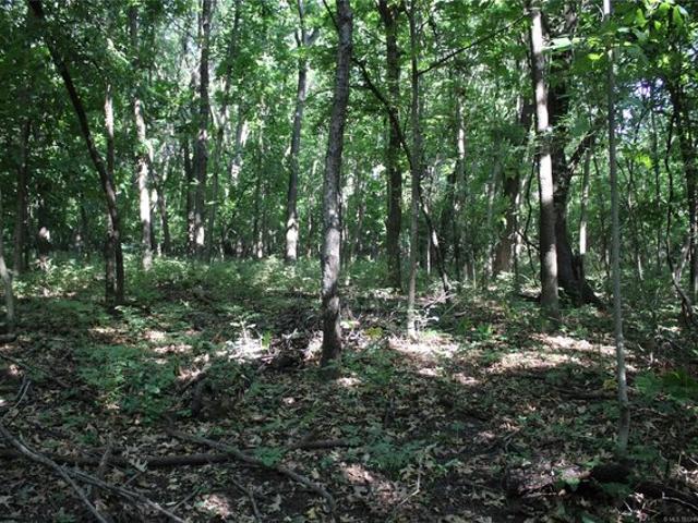 Land for sale in Langley, Oklahoma