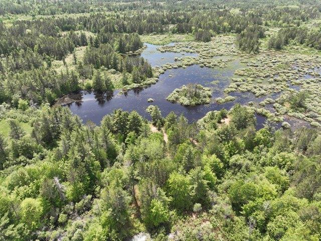 Land for sale in Seney, Michigan