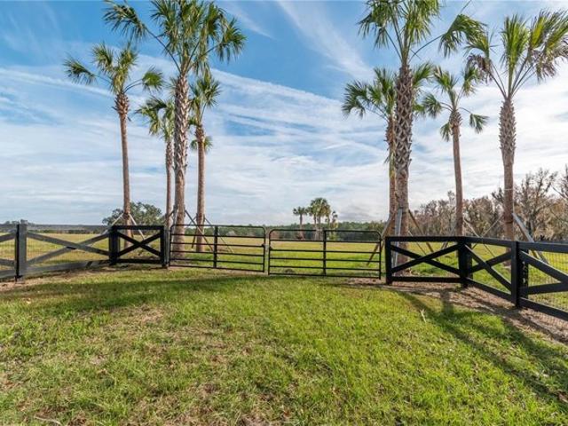 Land for sale in Reddick, Florida