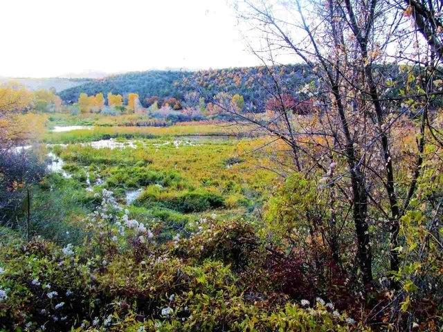 Land for sale in Collbran, Colorado